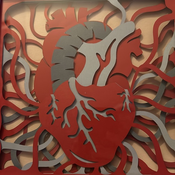 Anatomical heart 3d shadow box - Picture 2 of 9